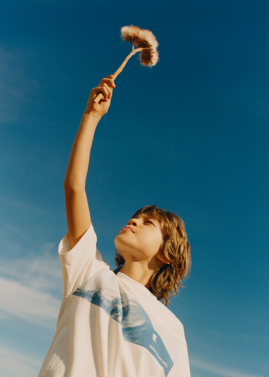 T-shirt coton imprimé - Détail de l'article 5