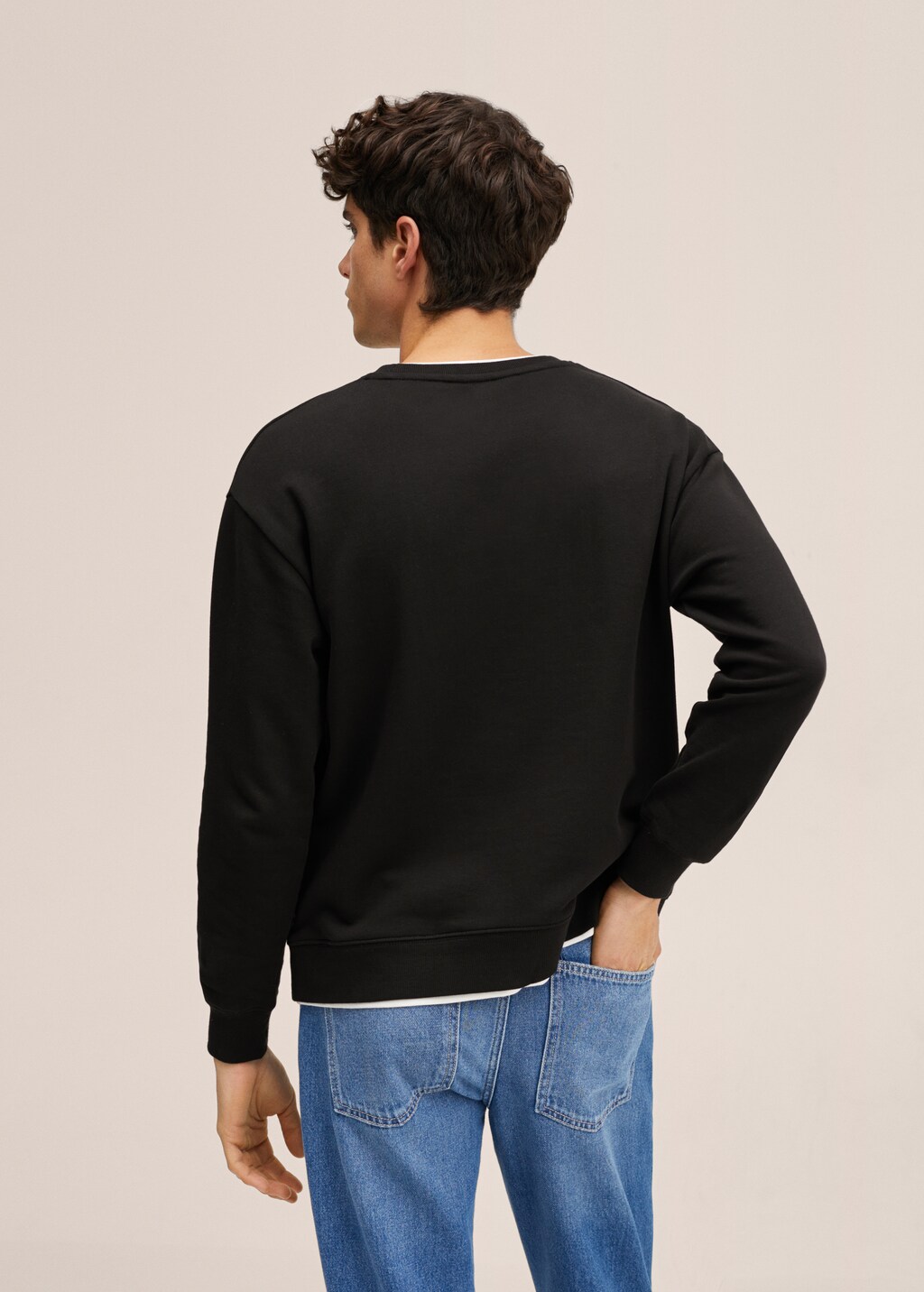 Basic cotton sweater - Reverse of the article