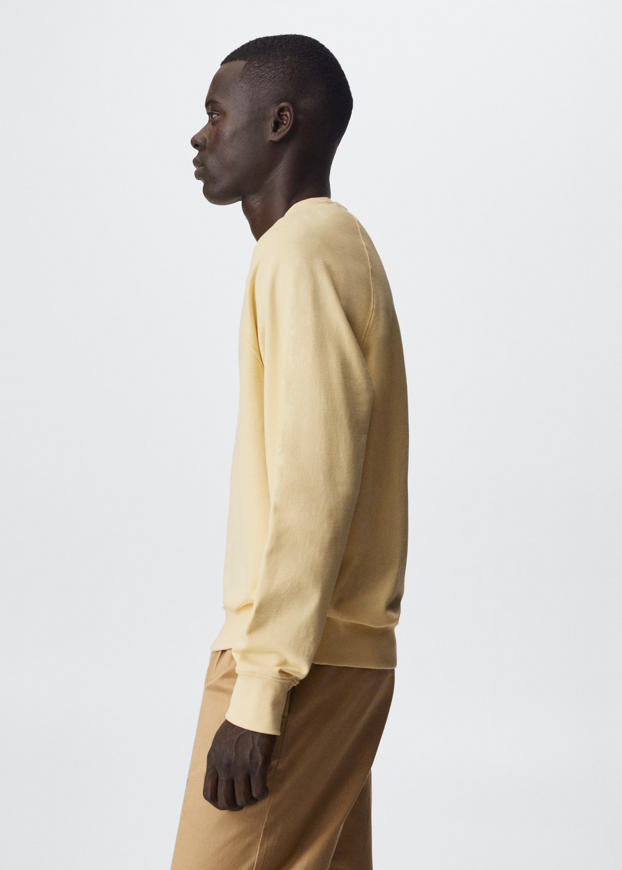 Lightweight cotton sweatshirt - Details of the article 2