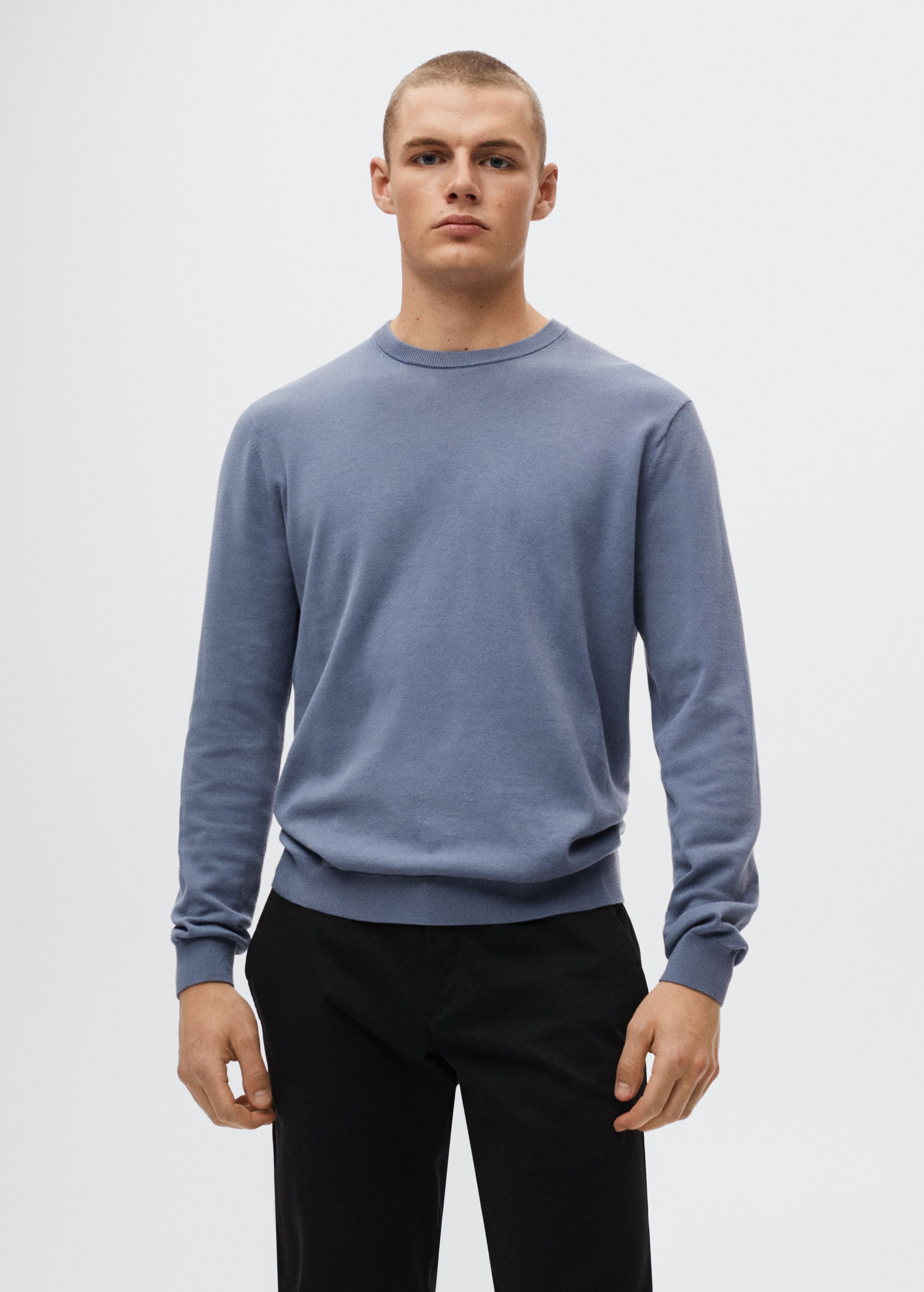 Fine-knit cotton sweater - Medium plane