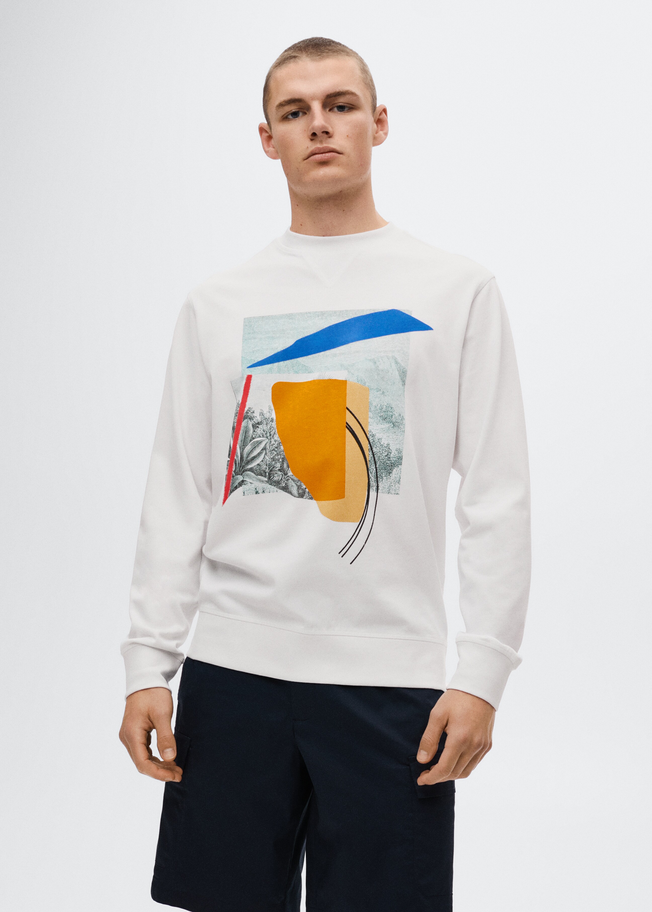 Printed cotton sweatshirt - Medium plane