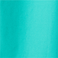 Color Turquoise selected