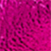 Farbe Fuchsia ausgewählt