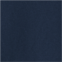 Color Navy selected