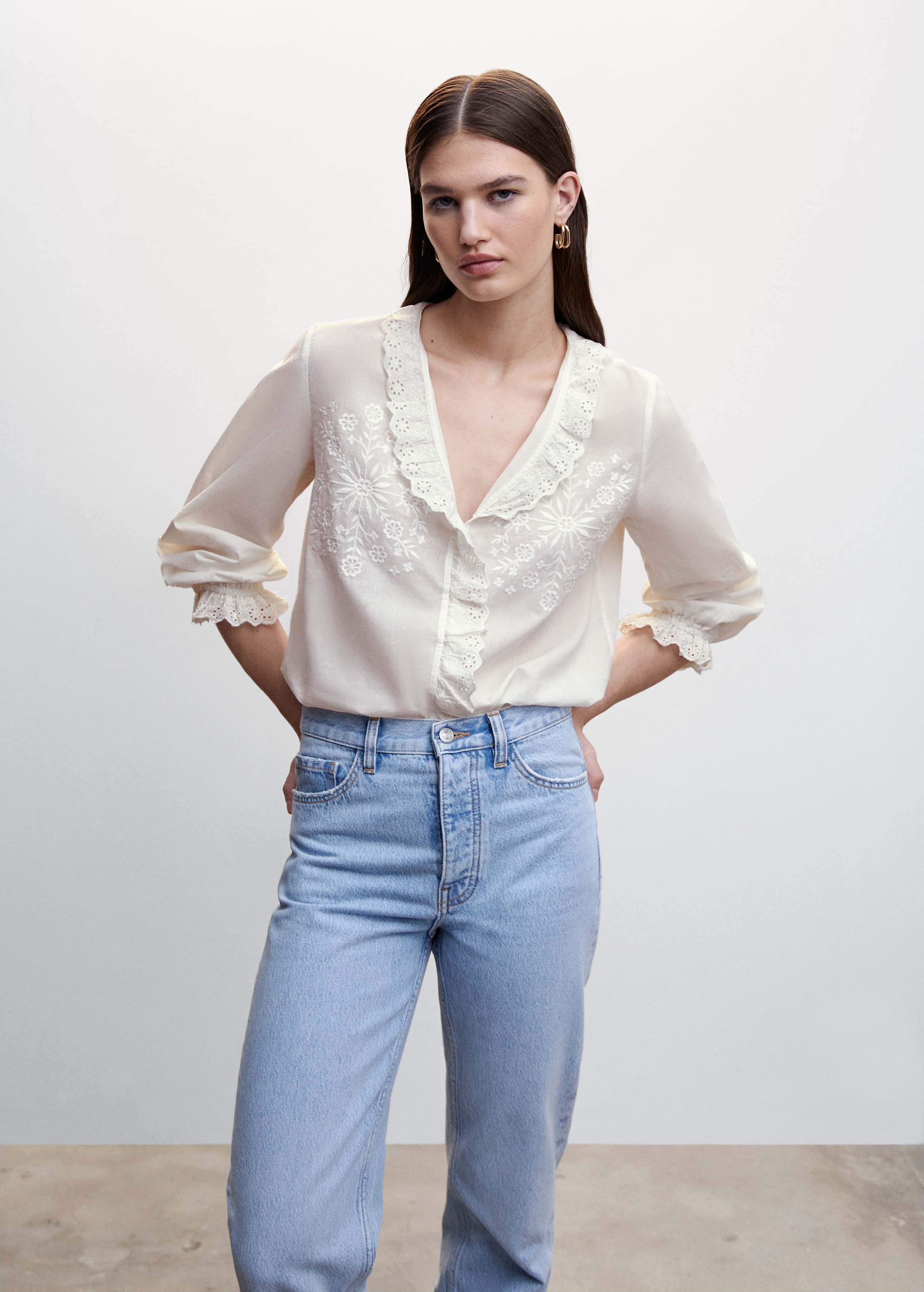 Embroidered puff-sleeve blouse - Medium plane