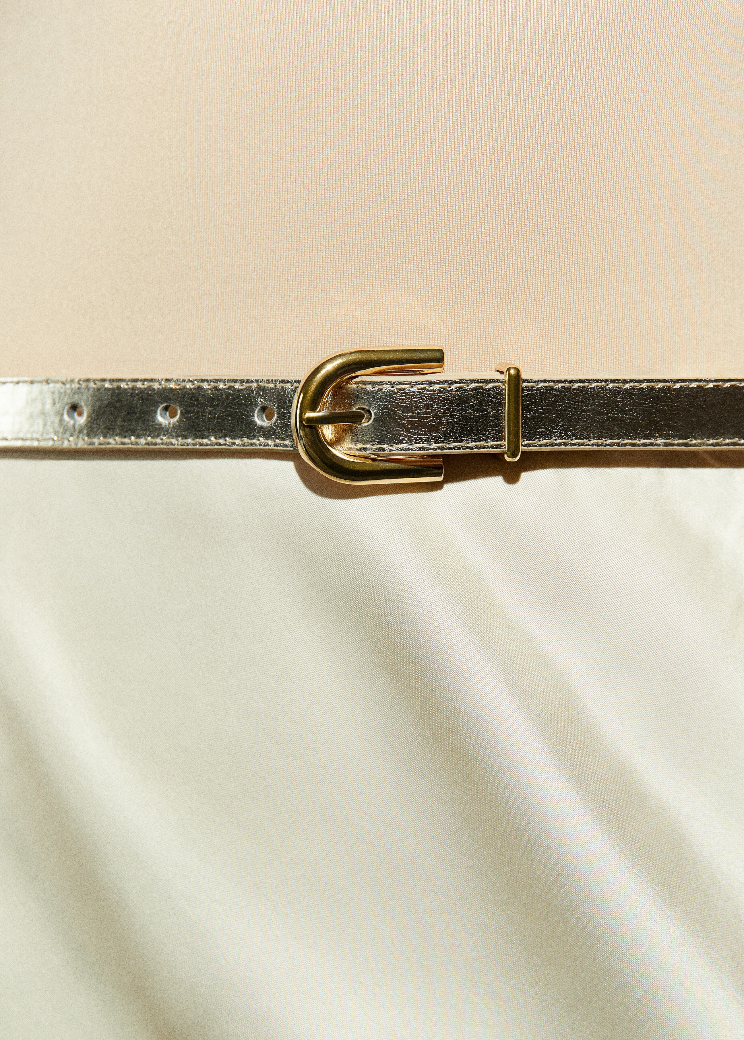 Cinturó metal·litzat sivella - Detall de l'article 9