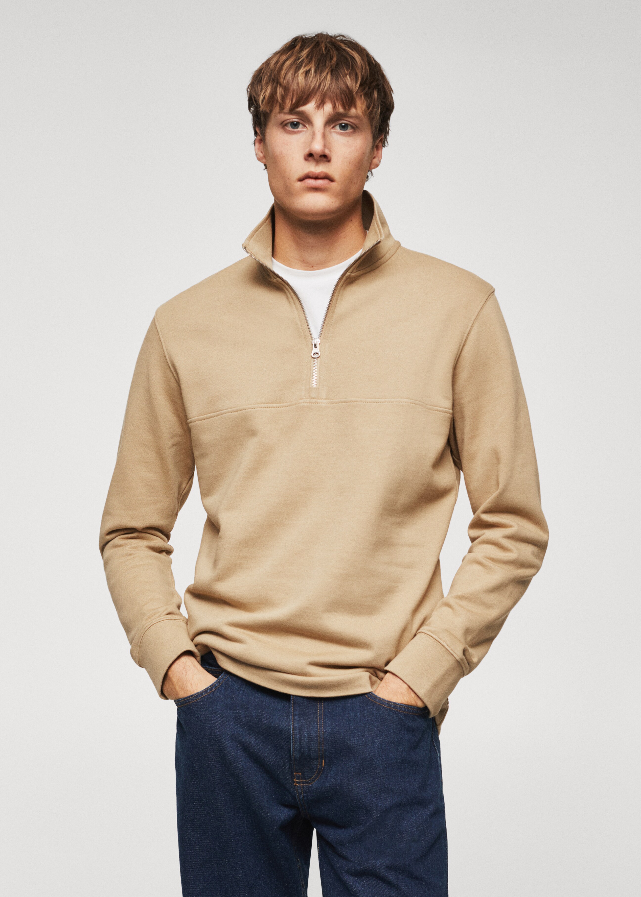 Cotton sweatshirt with zip neck - Medium plane