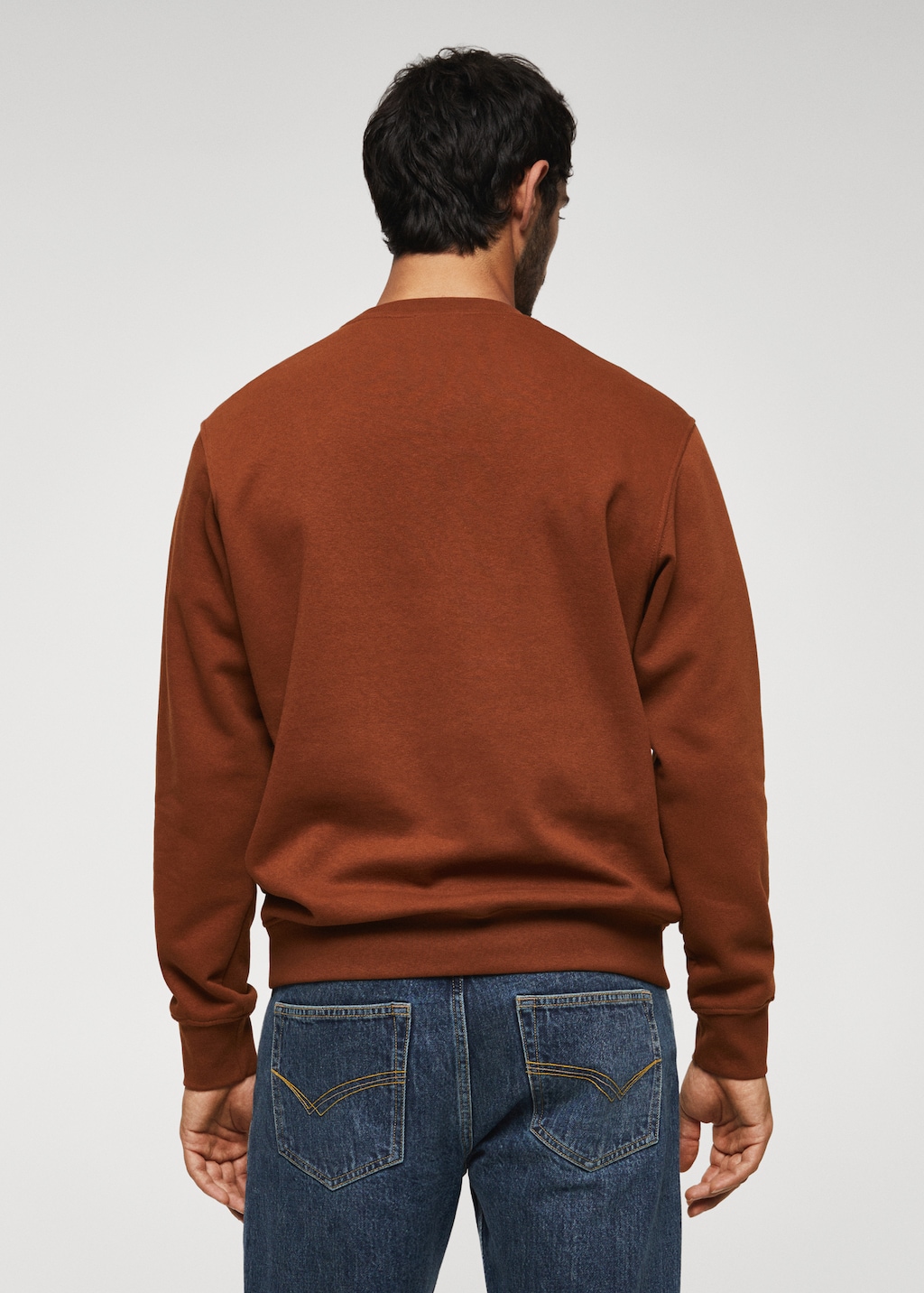 Plush cotton sweatshirt - Reverse of the article