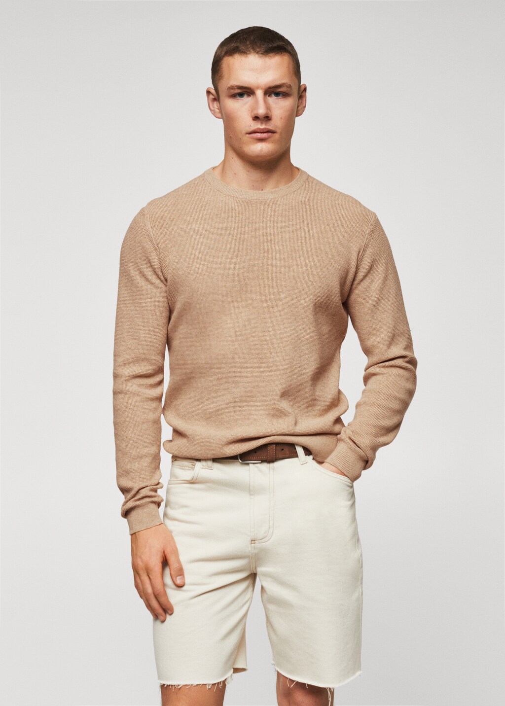 Structured cotton sweater - Medium plane