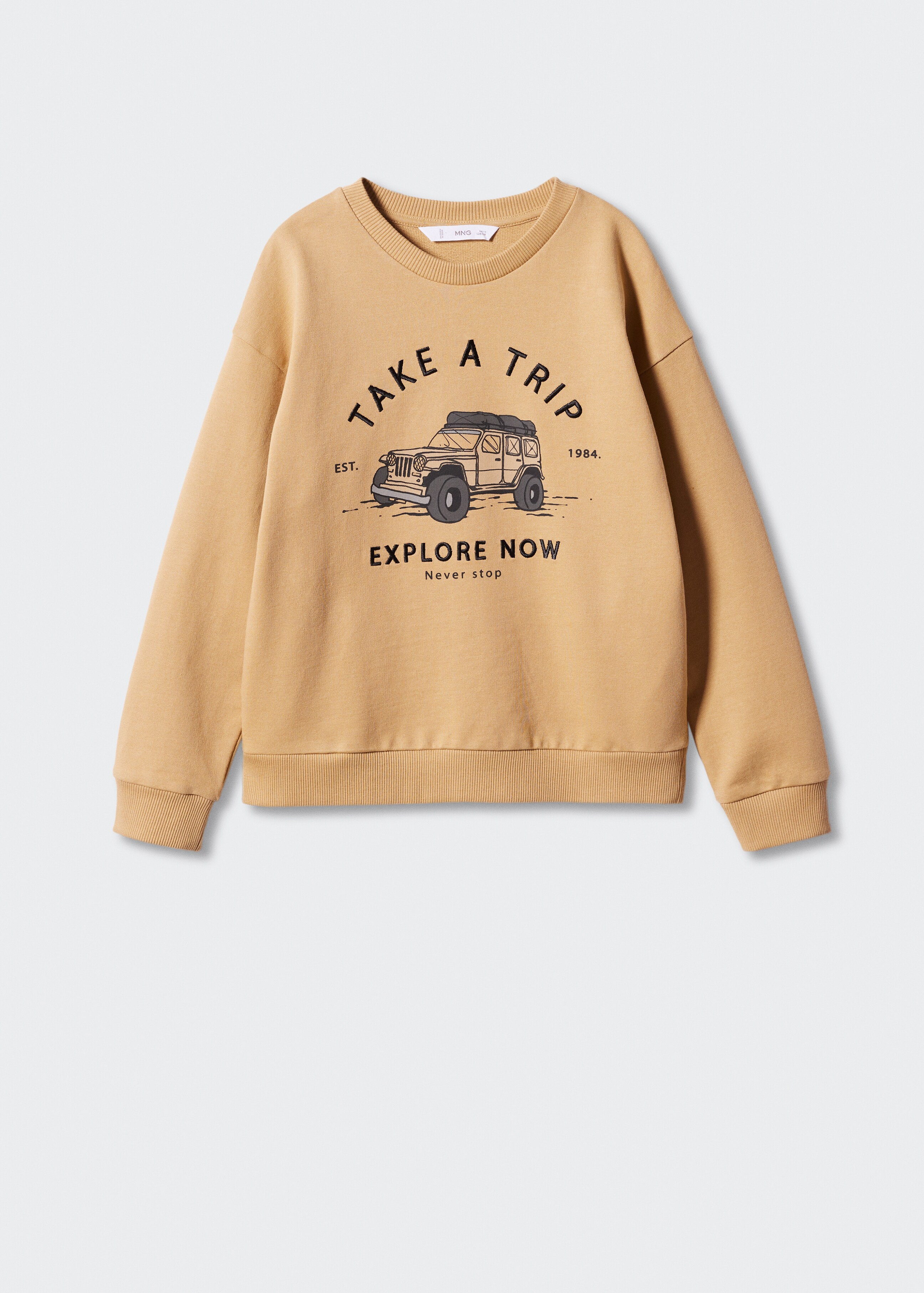 Printed cotton sweatshirt - Article without model