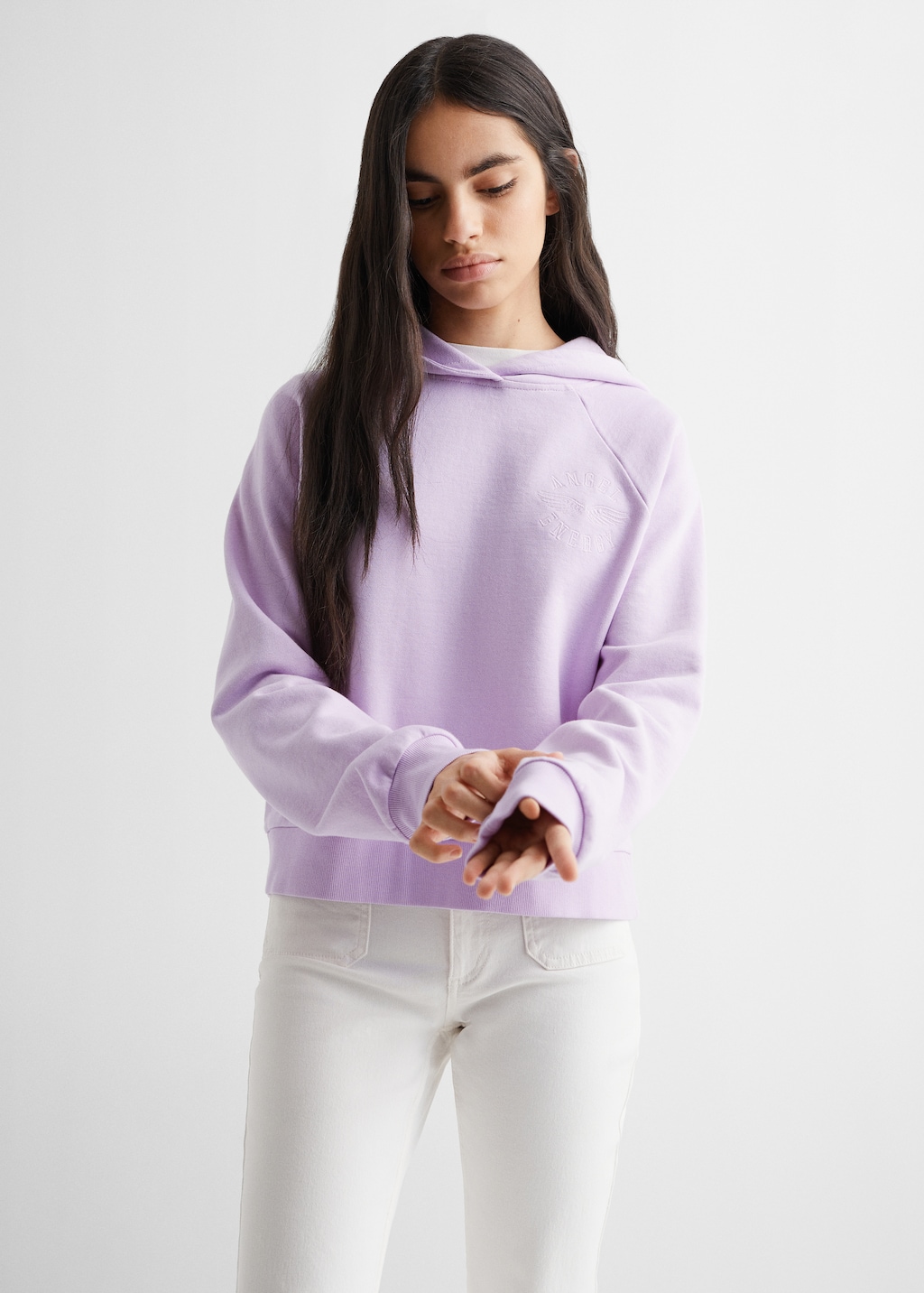 Embroidered cotton sweatshirt - Medium plane