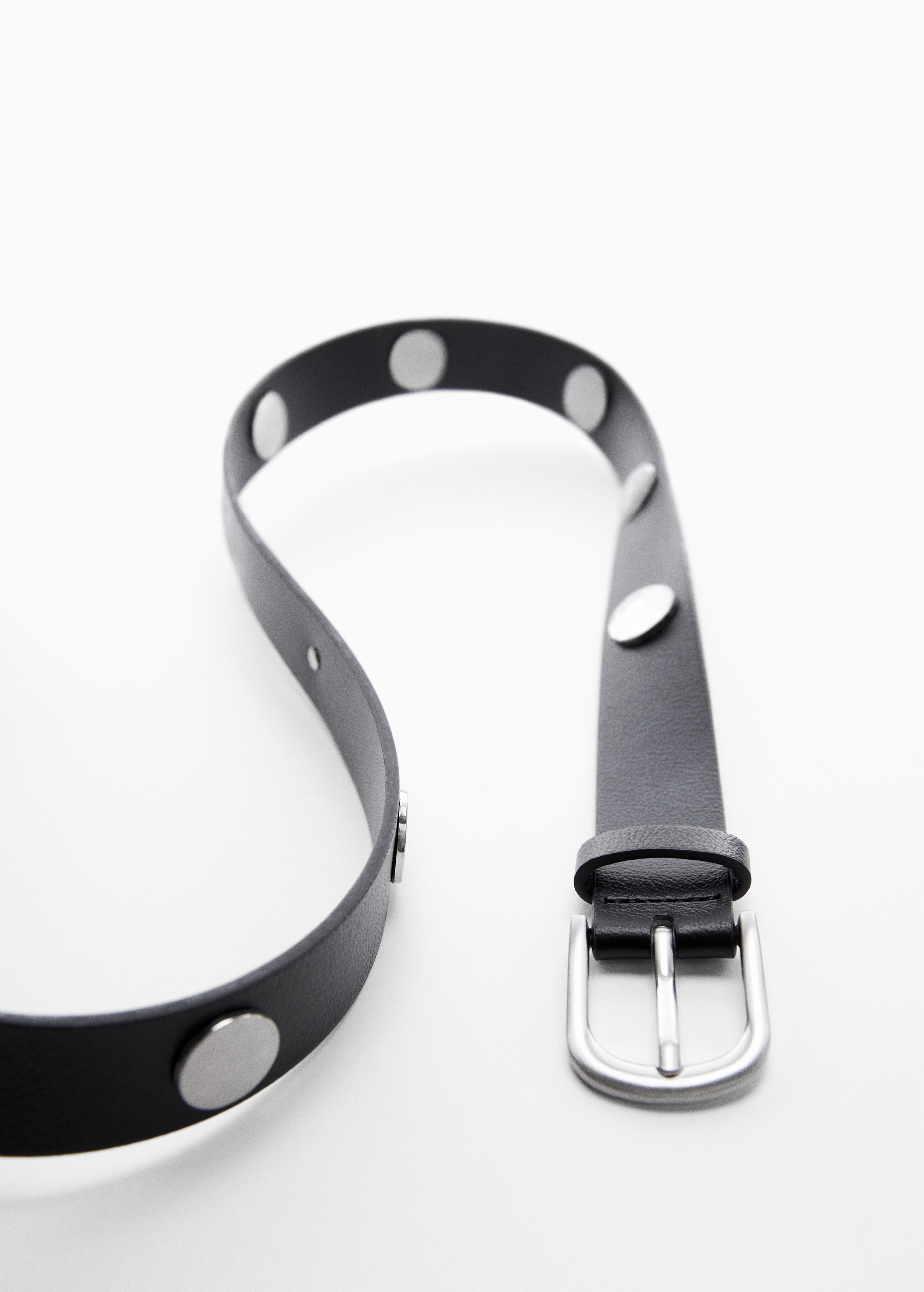 Metal appliqué belt - Details of the article 5