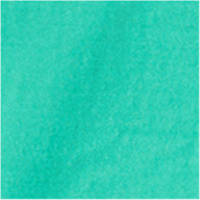 Couleur Turquoise sélectionnée