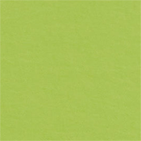 Colour Lime selected