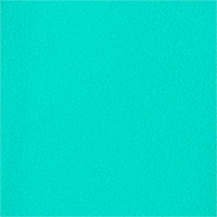 Color Turquoise selected