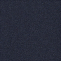 Color Navy selected