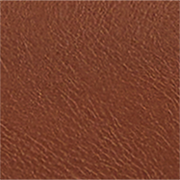 Color Leather selected