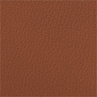 Colour Leather selected