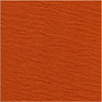 Color Burnt Orange selected