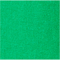 Couleur Vert sélectionnée