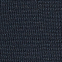 Color Navy selected