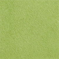 Couleur Citron vert sélectionnée