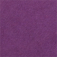 Couleur Violet sélectionnée
