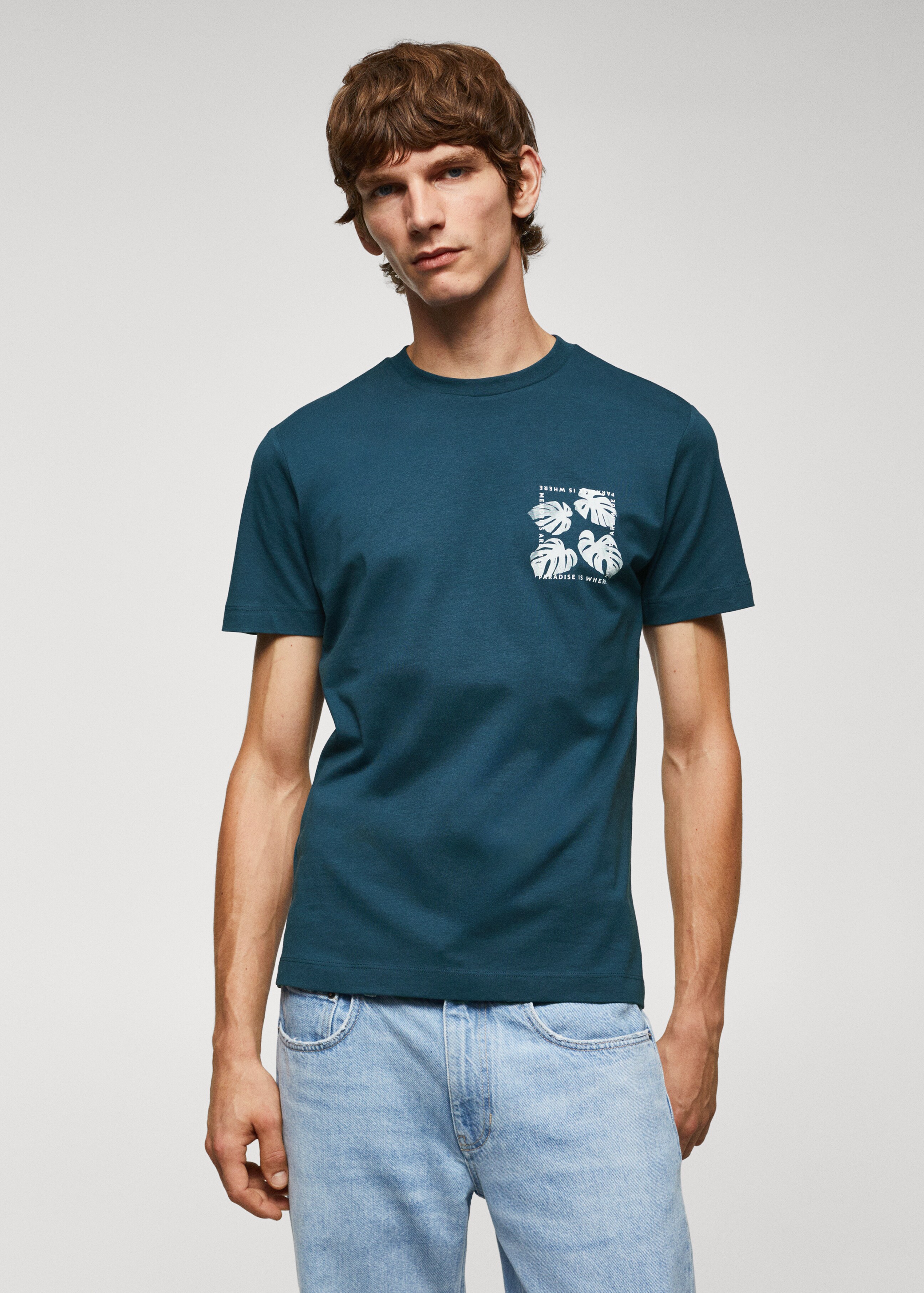 100% cotton printed t-shirt - Medium plane
