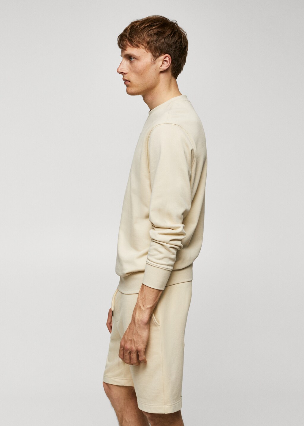 100% cotton basic sweatshirt  - Details of the article 2