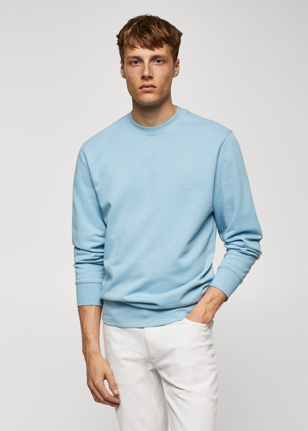 100% cotton basic sweatshirt  - Medium plane