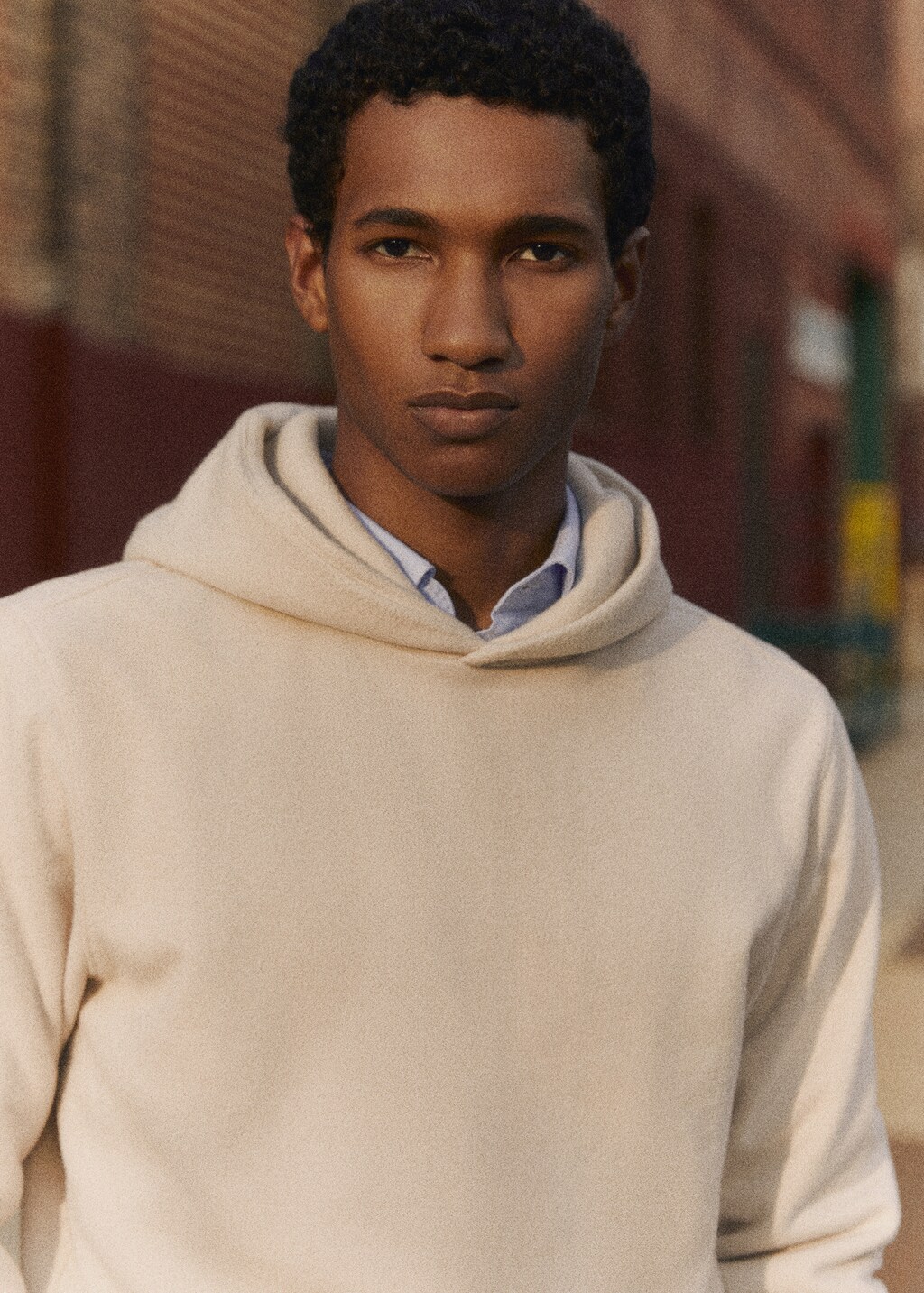 Hoodie cotton sweatshirt - Details of the article 5