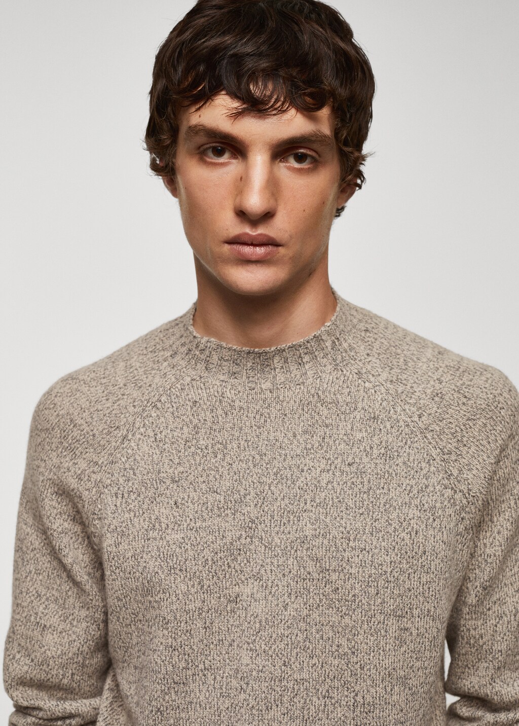 Speckled wool sweater - Details of the article 1