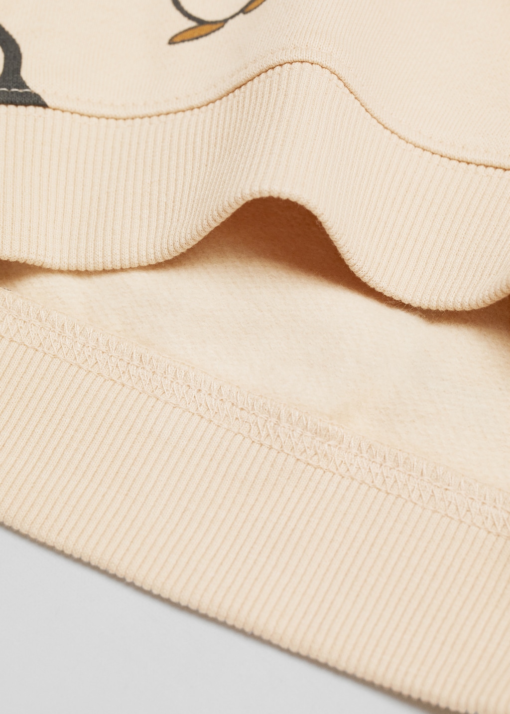 Brushed cotton sweatshirt - Details of the article 0