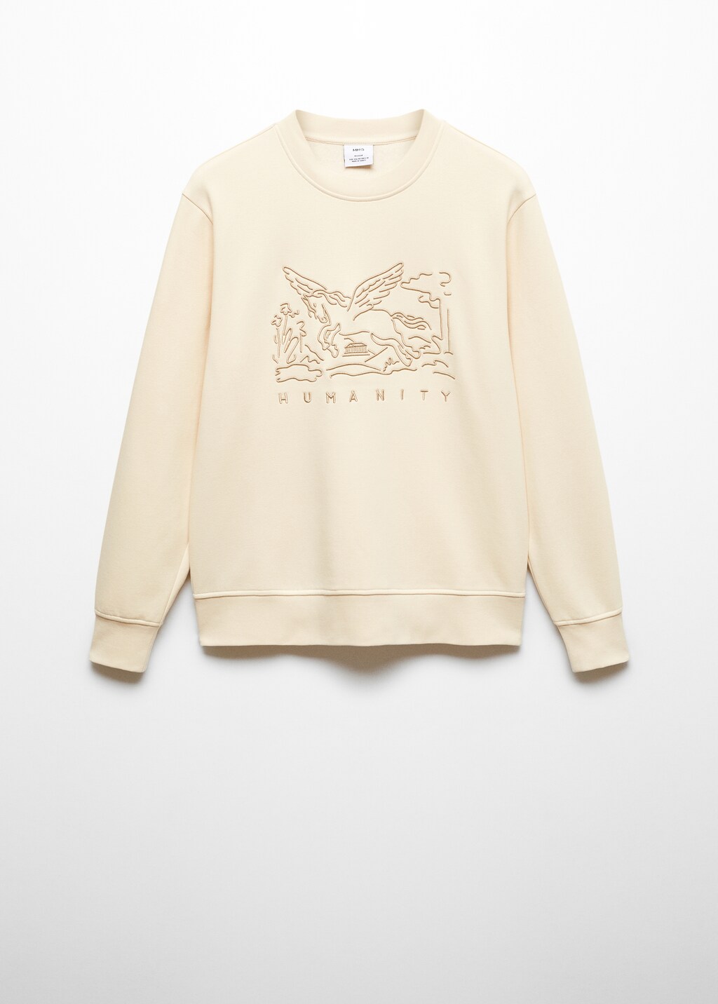 Embroidered detail cotton sweatshirt - Article without model