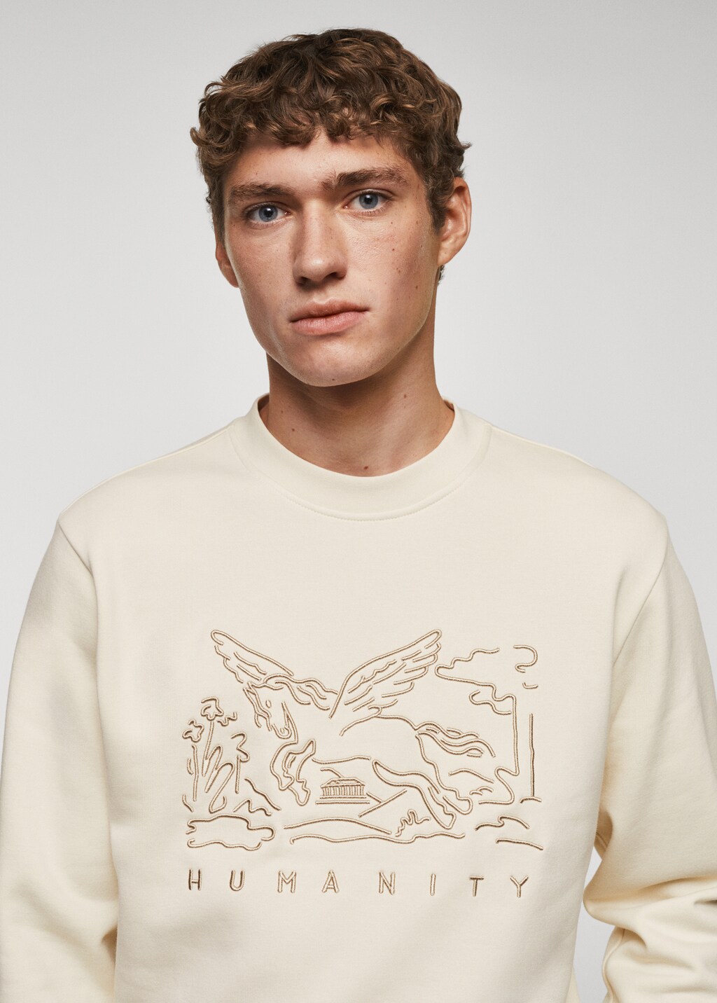 Embroidered detail cotton sweatshirt - Details of the article 1