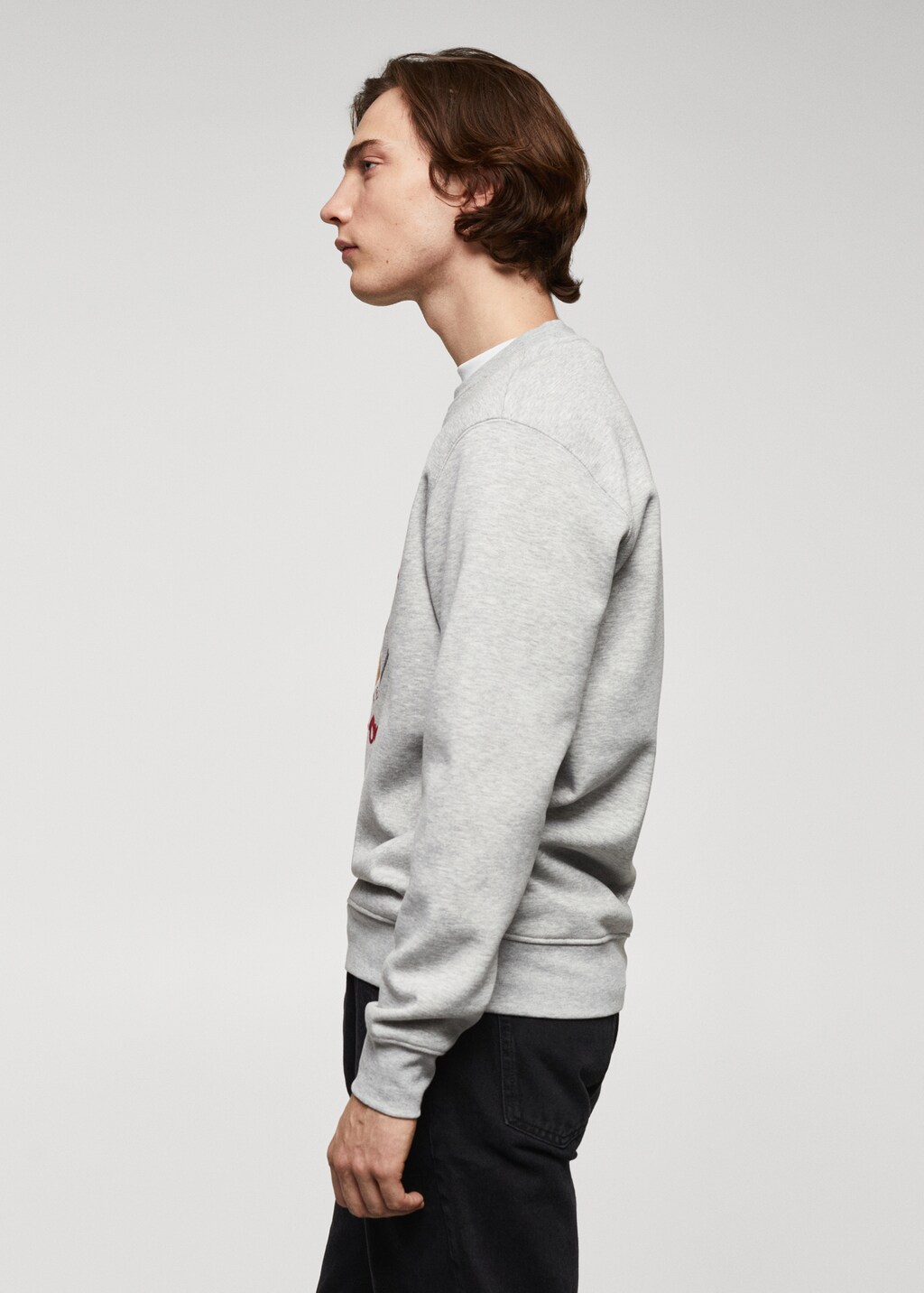 Velvet details print sweatshirt - Details of the article 2