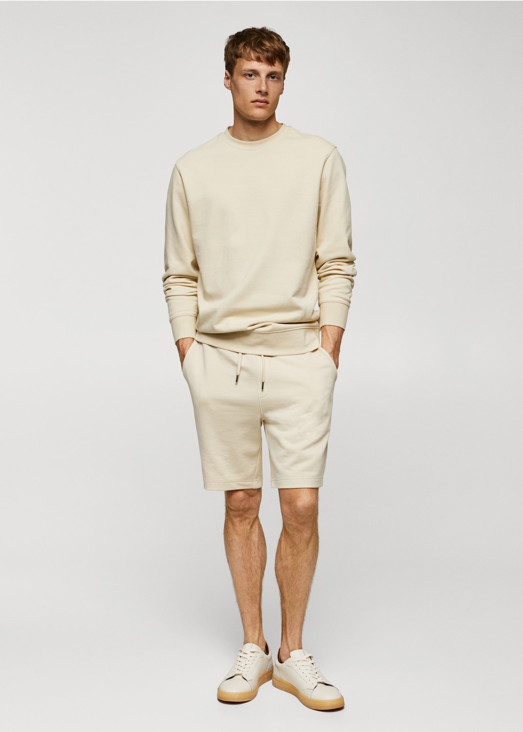 100% cotton basic sweatshirt  - General plane