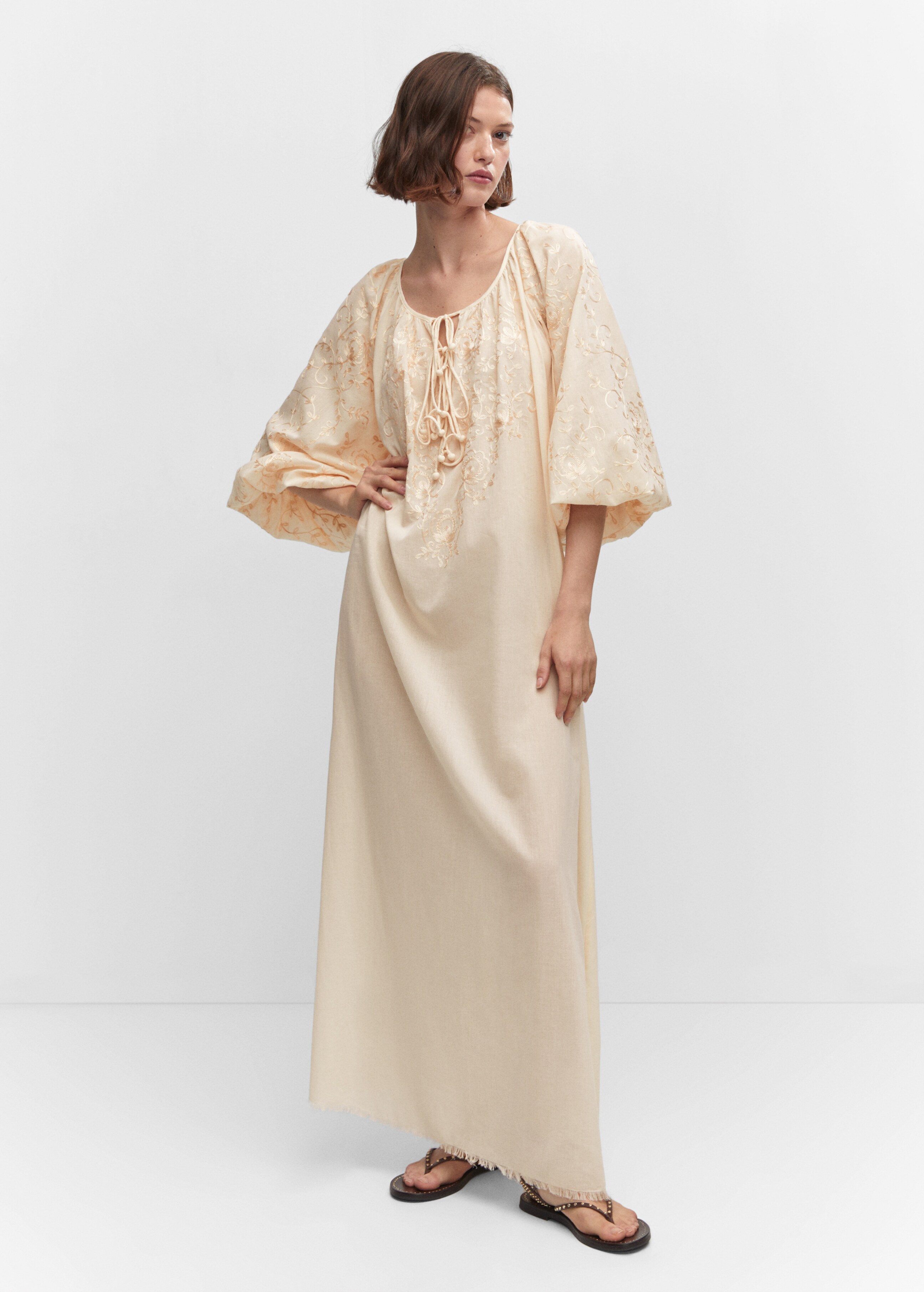 Puff-sleeved embroidered dress - General plane