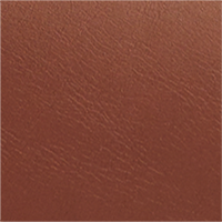 Colour Leather selected