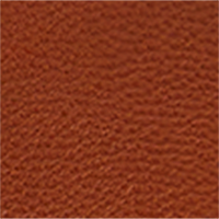 Color Leather selected