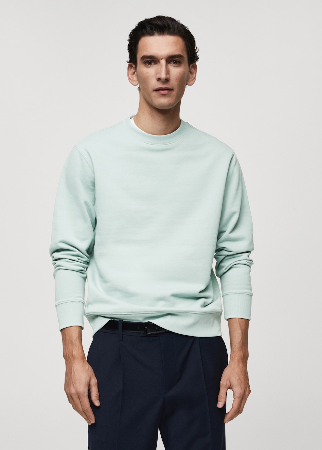 100% cotton basic sweatshirt - Medium plane