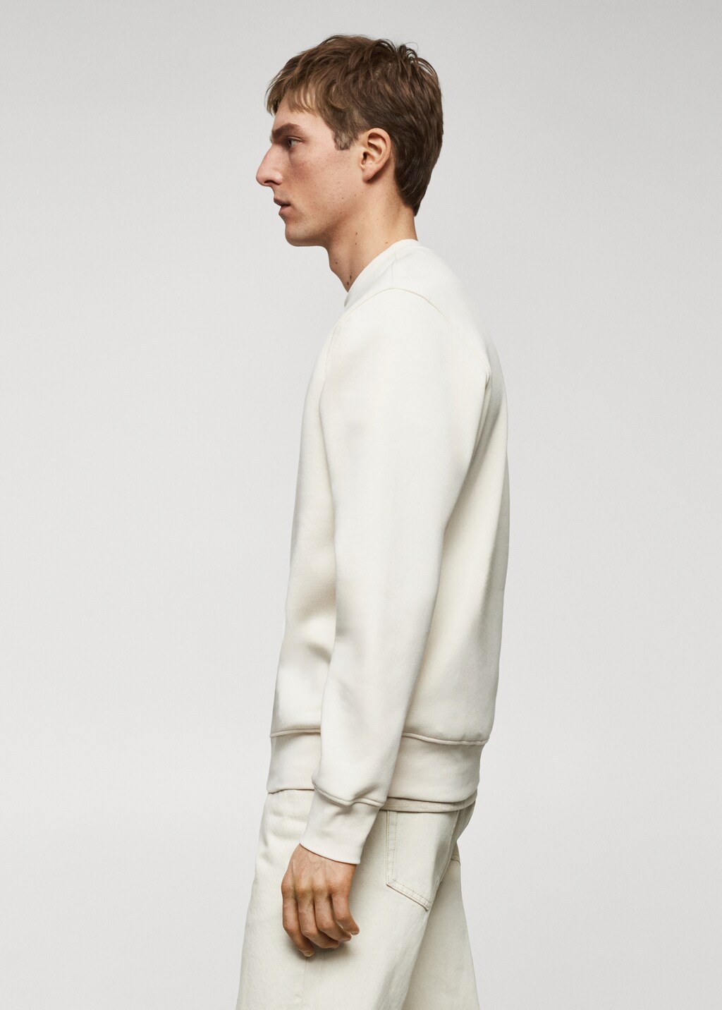 Lightweight cotton sweatshirt - Details of the article 2