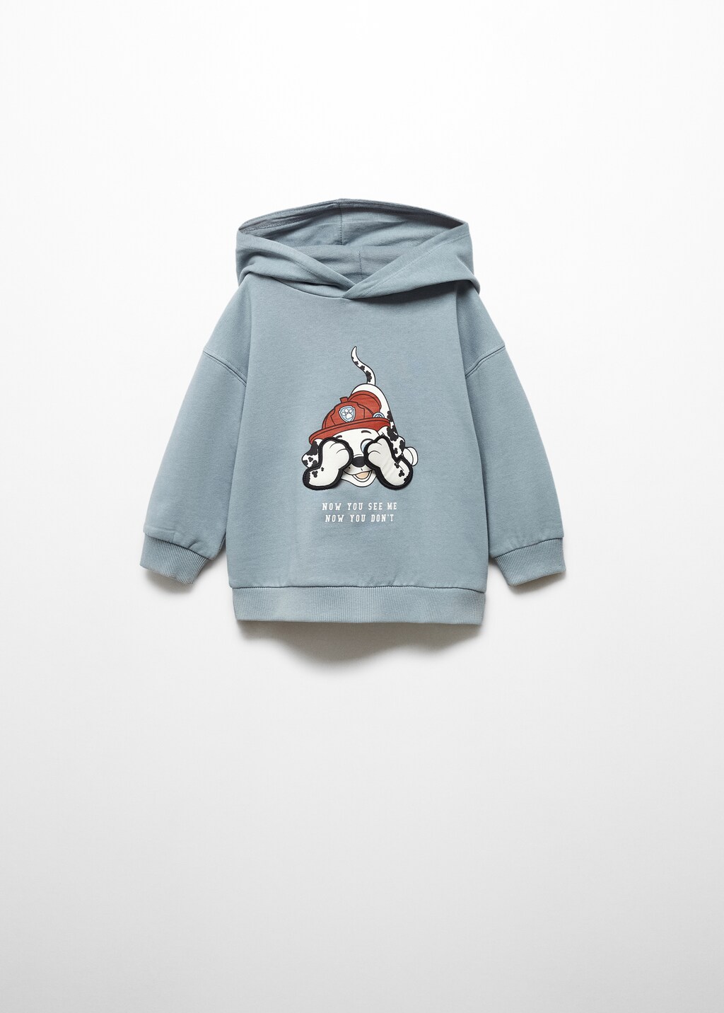 Paw Patrol Sweatshirt - Article without model