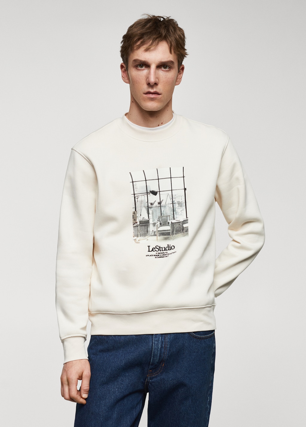 Printed picture sweatshirt - Medium plane