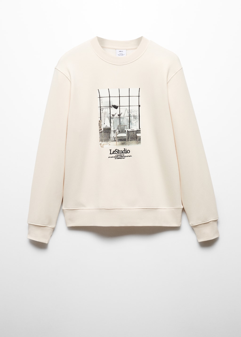 Printed picture sweatshirt - Article without model