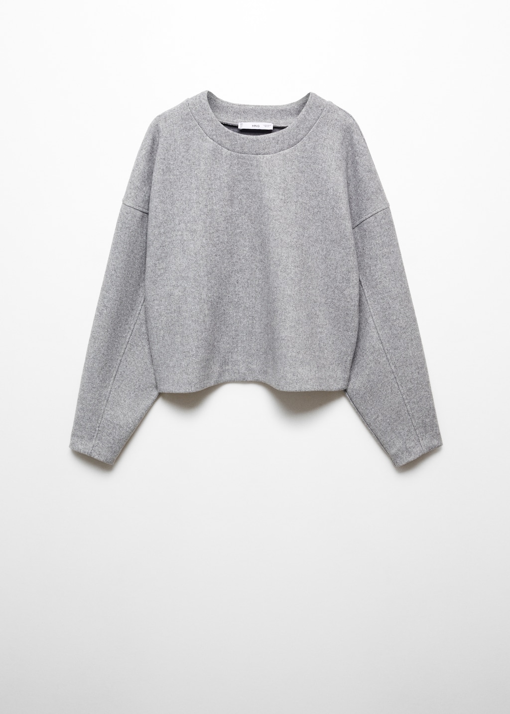 Crewneck sweatshirt - Article without model