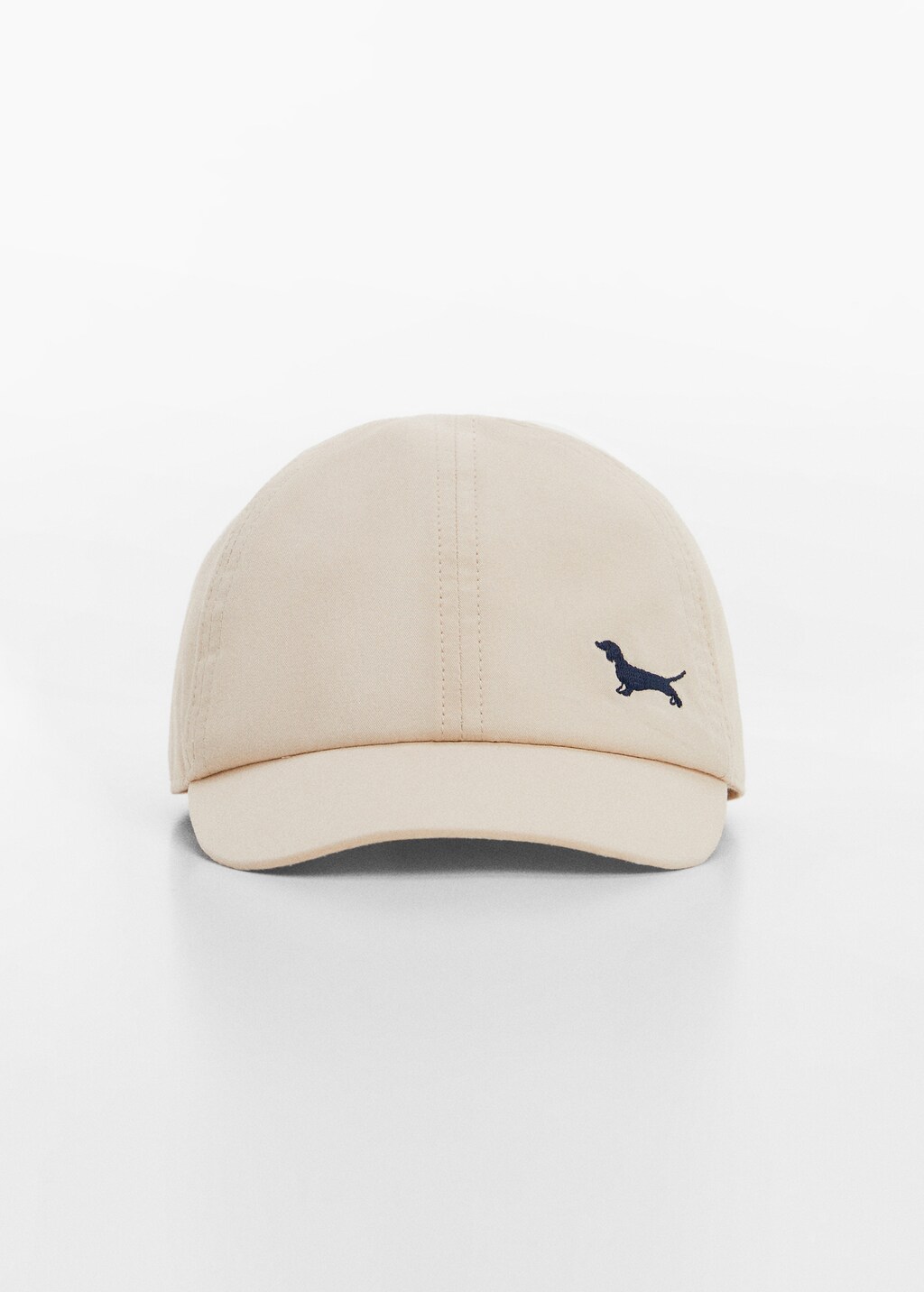 Embroidered detail cap - Medium plane