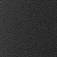 Color Black selected