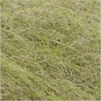 Colour Green selected