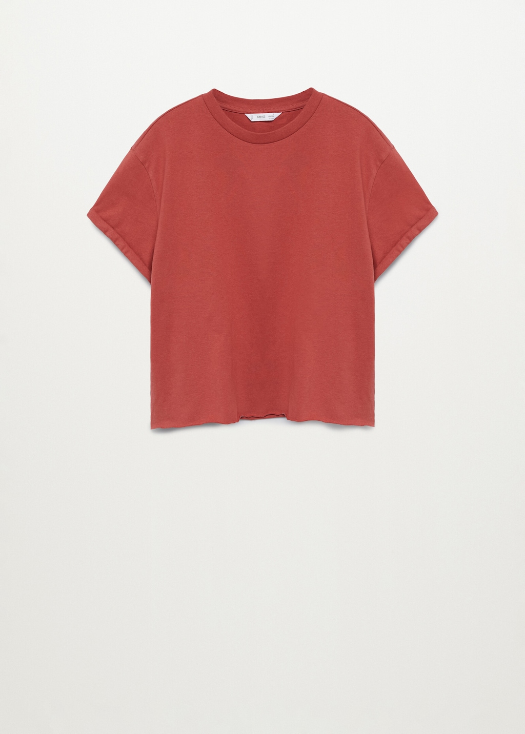 Organic cotton essential t-shirt - Article without model